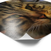 Impression Photo Long Haired Tabby Chat Artistique Portrait d'anima (Coin)