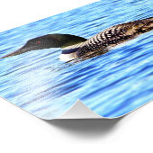 Impression Photo Loon V (Coin)