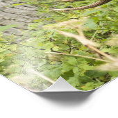 Impression Photo L'orignal (Coin)