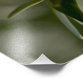 Impression Photo Lotus (Coin)