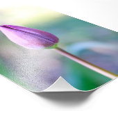 Impression Photo Lotus (Coin)