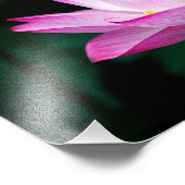 Impression Photo lotus (Coin)