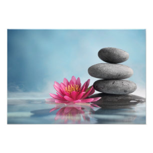 Impression photo Lotus