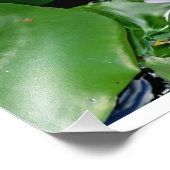 Impression Photo Lotus rose (Coin)