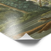 Impression Photo Louisiana Heron par John James Audubon (Coin)