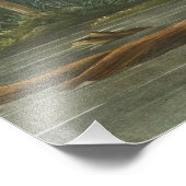 Impression Photo Louisiana Heron par John James Audubon (Coin)