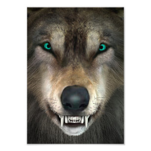 Impression Photo Loup