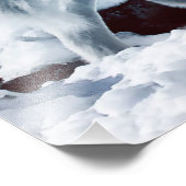 Impression Photo Loup arctique (Coin)