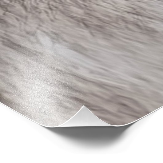 Impression Photo Loup de bois (Coin)