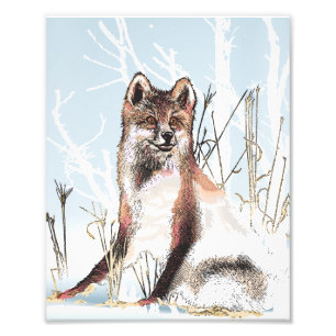 Impression Photo Loup d'hiver