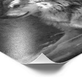 Impression Photo Loup en noir et blanc (Coin)