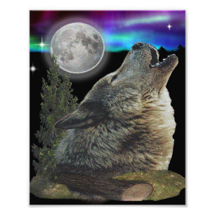 Impression Photo Loup et lune