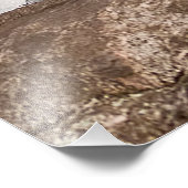 Impression Photo Loup gris-oriental (Coin)