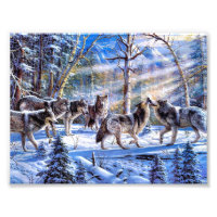 Loups gris peint