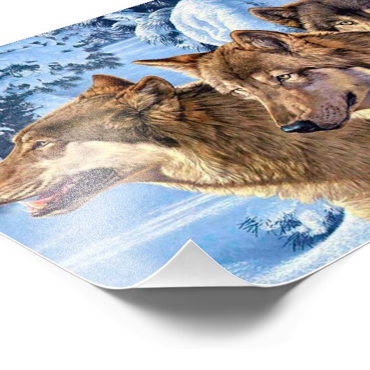 Impression Photo Loups rouges (Coin)