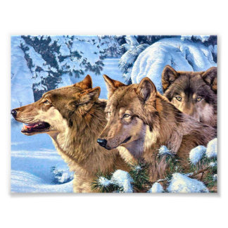 Impression Photo Loups rouges