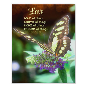 Impression Photo Love Corinthians 13:7 Citation Bible Papillon 8x10
