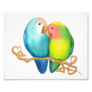 Impression Photo Lovebirds colorés