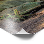 Impression Photo Lower Falls, Conkle's Hollow, Hocking Hills, Ohio (Coin)