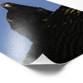 Impression Photo Lumière (Coin)