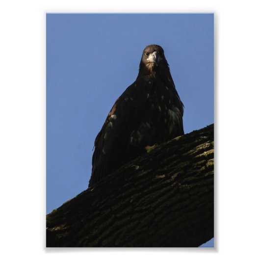 Impression Photo Lumière (Devant)