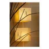 Impression Photo Lumière douce. (Devant)