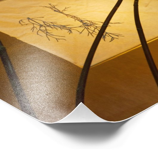 Impression Photo Lumière douce. (Coin)