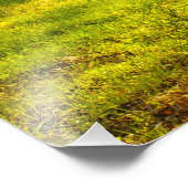 Impression Photo Lumière du matin du printemps du Tennessee rural (Coin)