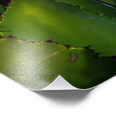 Impression Photo Luminosité de l'âge (Coin)