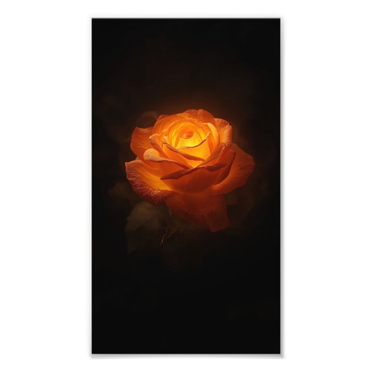 Impression Photo Luminous Orange Rose on Black Velvet – Elegant Flo (Devant)
