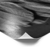 Impression Photo Luna Moth en noir et blanc (Coin)