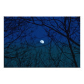 Impression Photo Lune dans Ombre Indigo Sky Tree Branches Silhouett (Devant)