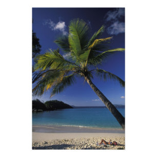 Impression Photo L'une des meilleures plages du monde ; Trunk Bay s