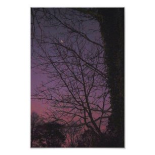 Impression Photo Lune pendant le début de la matinée