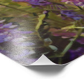 Impression Photo Lupine arctique pourpre et verte (Coin)