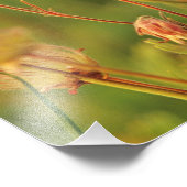 Impression Photo Lupine & Prairie fleurs sauvages de fumée dans le  (Coin)