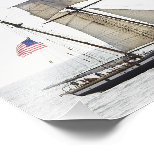 Impression Photo Lynx grand navire (Coin)