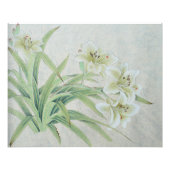 Impression Photo Lys blancs (Devant)