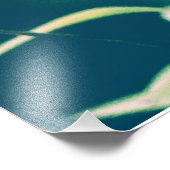 Impression Photo Lys de tigre (Coin)