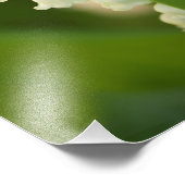 Impression Photo Lys des fleurs de la Vallée (Coin)