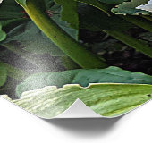 Impression Photo Lys orientaux blancs fleurissent floraux (Coin)