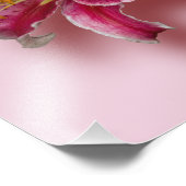 Impression Photo Lys Stargazer Rose (Coin)