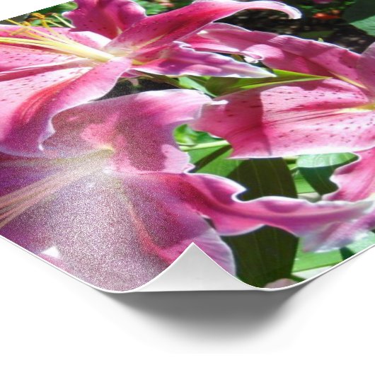 Impression Photo lys stargazers (Coin)