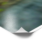 Impression Photo Lysimachia punctata (Coin)