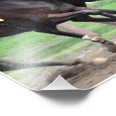 Impression Photo Ma Miss Aurelia - L'Adirondack (Coin)