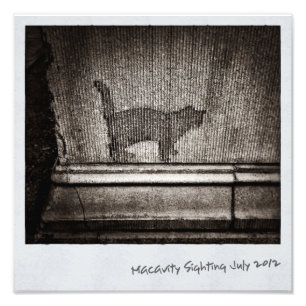 Impression Photo Macavity pas là