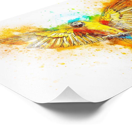 Impression Photo Macaw (Coin)