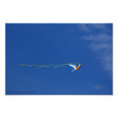 Impression Photo Macaw Kite (Devant)