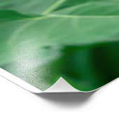 Impression Photo Macro couleur orange jaune tournesol fermer (Coin)