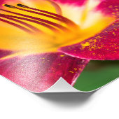 Impression Photo Macro Fermer Lily rouge (Coin)